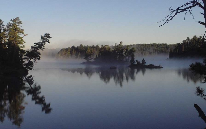 Fog sits on very calm water, reflecting the trees on the shore. 